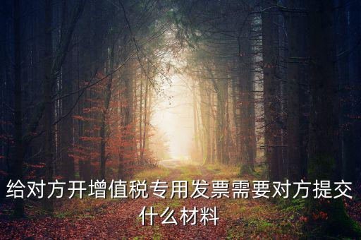 開專票要什么資料，加油卡開增值稅專用發(fā)票需要什么資料