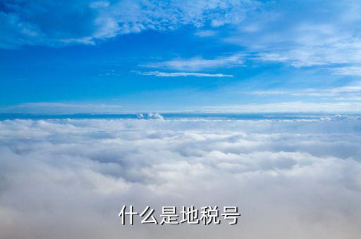 稅務(wù)賬號是什么，什么是地稅號