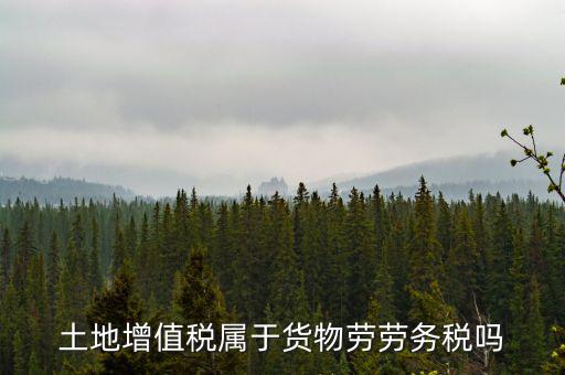 土地增值稅屬于什么稅種，土地增值稅是什么