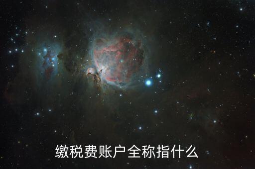 納稅賬戶是什么，我們公司申請(qǐng)的一個(gè)專門(mén)用來(lái)繳納稅款的賬戶是什么賬戶