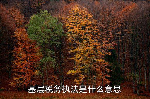 稅務(wù)執(zhí)行是什么意思，compliance costs 是什么意思
