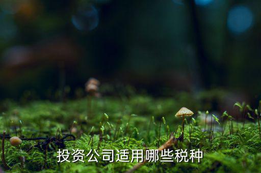 投資款需要交什么稅，投資公司適用哪些稅種