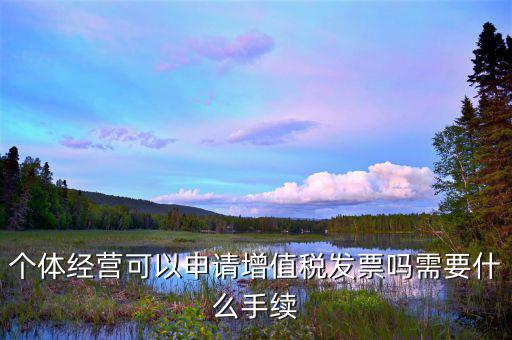 個(gè)體打印發(fā)票需要什么資料，開個(gè)人增值稅發(fā)票需要什么資料