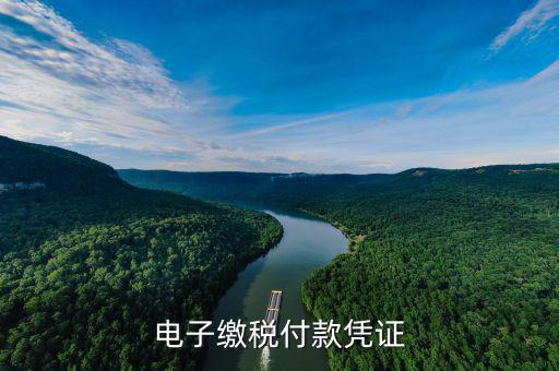 電子繳費(fèi)憑證是什么，電子繳稅付款憑證