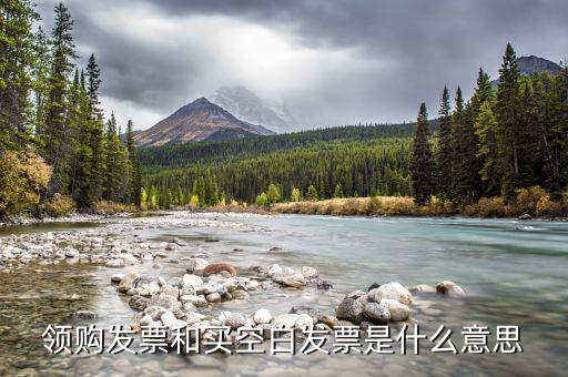 領(lǐng)取空白發(fā)票需要什么用，領(lǐng)用增值稅發(fā)票的時(shí)候內(nèi)開的空白發(fā)票要帶嗎