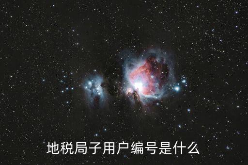 河北地稅的登錄賬號是什么，地稅局網(wǎng)上申報(bào) 用戶名用戶名是什么啊