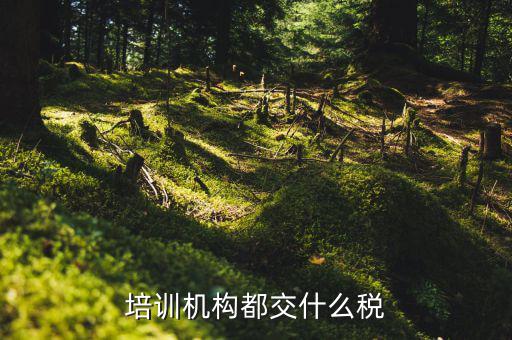 2017培訓(xùn)機(jī)構(gòu)交什么稅，培訓(xùn)機(jī)構(gòu)需要交稅的種類有多少