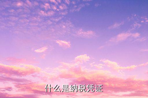 增值稅納稅憑證是什么，什么是納稅憑證