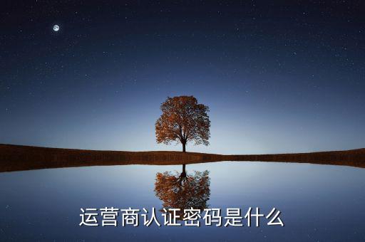 網(wǎng)上認(rèn)證密碼密碼是什么，一般上網(wǎng)認(rèn)證系統(tǒng)初始密碼是什么