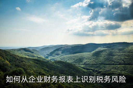 稅務(wù)風(fēng)險(xiǎn)核查是什么意思，虛開增值稅專用發(fā)票核查 什么意思