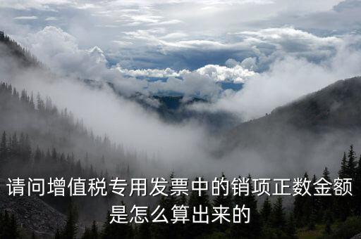 銷項(xiàng)正數(shù)金額是什么意思，銷項(xiàng)正數(shù)金額銷項(xiàng)負(fù)廢金額銷項(xiàng)負(fù)數(shù)金額是什么意