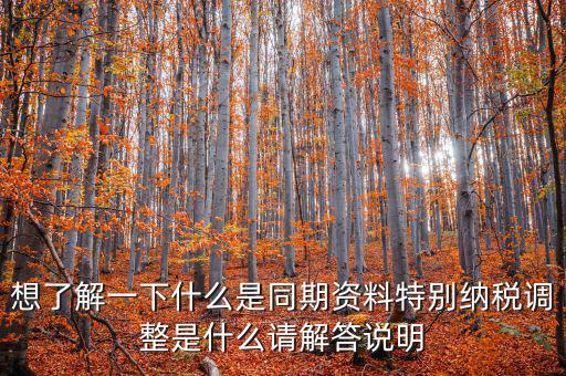 什么是特別納稅調(diào)整監(jiān)控管理階段，想了解一下什么是同期資料特別納稅調(diào)整是什么請解答說明