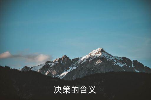 決策一包什么意思，決策的含義