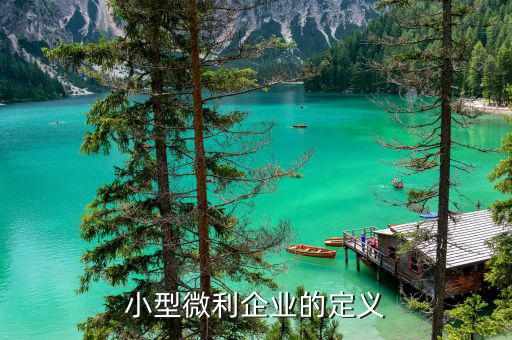 什么叫小型微型企業(yè)，什么叫微小企業(yè)