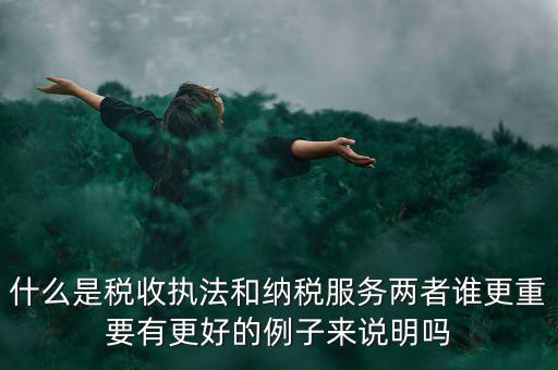 什么是稅收執(zhí)法和納稅服務兩者誰更重要有更好的例子來說明嗎
