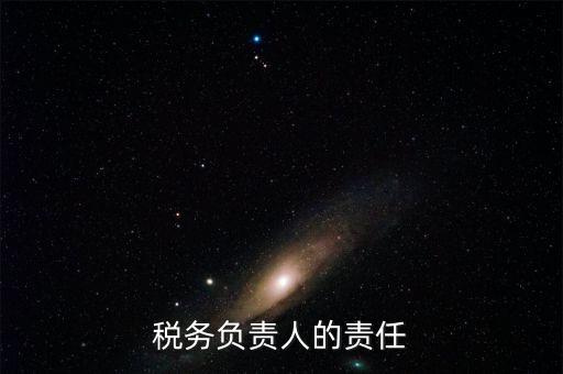 稅務(wù)負責(zé)人的責(zé)任