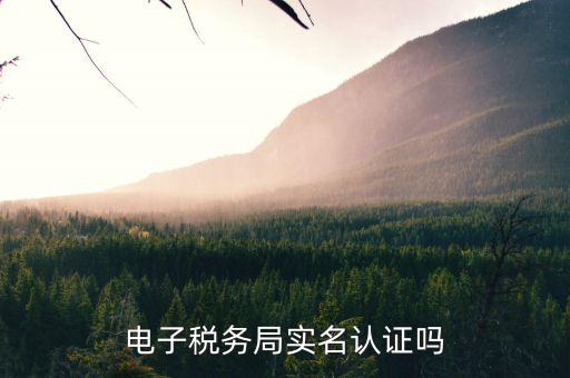 什么人使用電子稅務(wù)局，實名登錄電子稅局和稅號登錄報所得稅有什么區(qū)別
