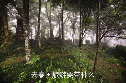 稅務(wù)局的信仰是什么，道德模范有哪些