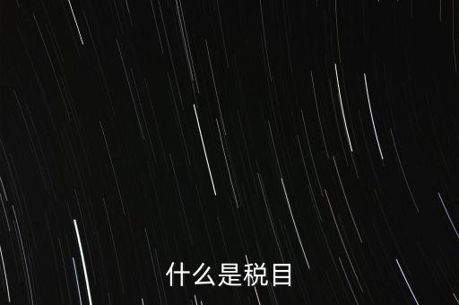 什么是稅法 文化，中華人民共和國地稅法