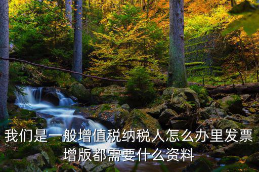 發(fā)票增版申需要什么意思，我們是一般增值稅納稅人怎么辦里發(fā)票增版都需要什么資料