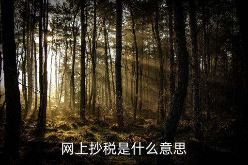 什么是網(wǎng)上抄報稅，抄稅和報稅是什么意思 應(yīng)該怎么做呢