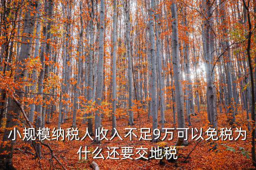 為什么納地稅，為什么要規(guī)定納稅地點