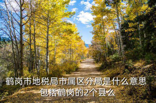 片區(qū)稅務(wù)分局是什么，陽宗海片區(qū)屬于哪個(gè)稅務(wù)局
