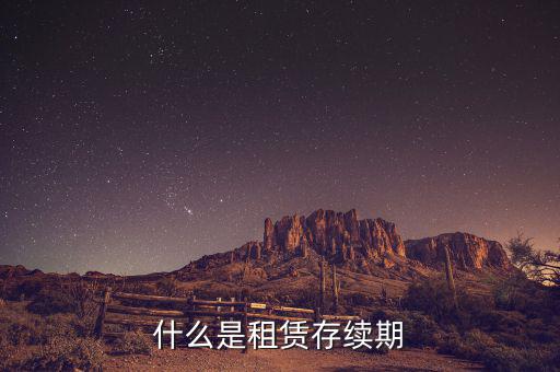 申報(bào)租金所屬租賃期是什么意思，什么是租賃存續(xù)期