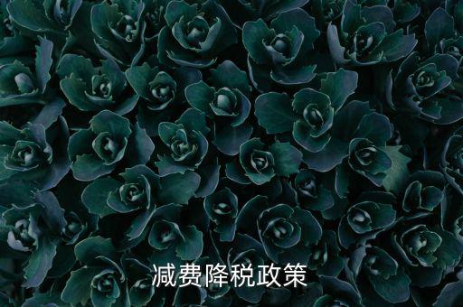 做好6項減稅政策的內(nèi)容是什么，減費降稅政策