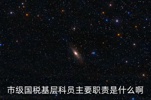 基層國(guó)稅辦公室做什么，請(qǐng)問(wèn)國(guó)稅局基層分局科員縣域主要負(fù)責(zé)什么工作