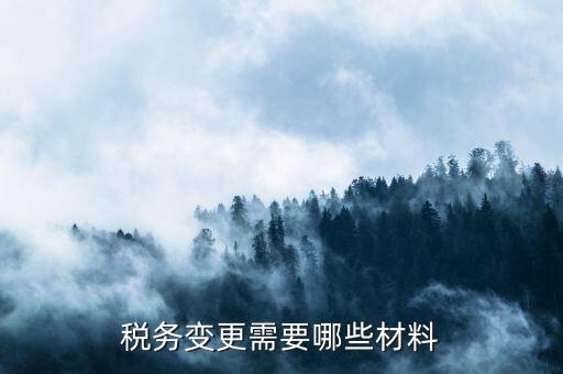變更辦稅員要帶什么，財務(wù)負(fù)責(zé)人和辦稅員的變更需要辦理哪些手續(xù)
