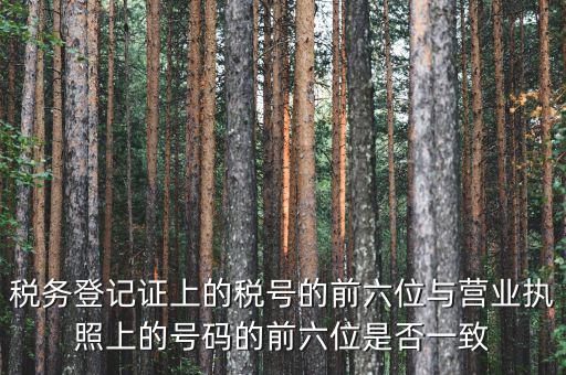 稅號(hào)前六位代表什么，納稅識(shí)別號(hào)前六位數(shù)為140111是什么意思