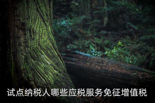 家政服務(wù)免增值稅什么業(yè)務(wù)免，家政服務(wù)企業(yè)的什么收入可以免征增值稅