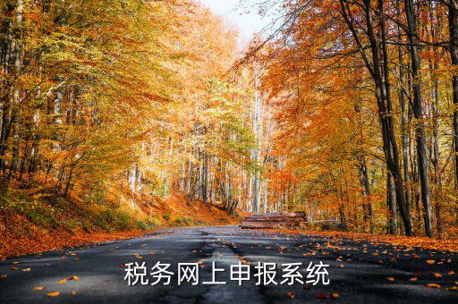 什么是稅收網(wǎng)報(bào)軟件，稅務(wù)網(wǎng)上申報(bào)系統(tǒng)