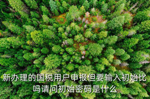 初始申報(bào)密碼是什么，小關(guān)稅務(wù)所 新企業(yè) 網(wǎng)上納稅申報(bào)初始密碼是什么
