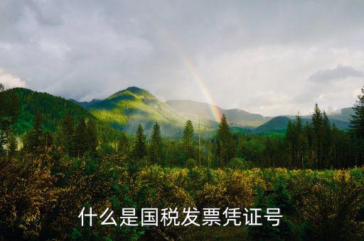 國稅辦稅號是什么，什么是國稅發(fā)票憑證號
