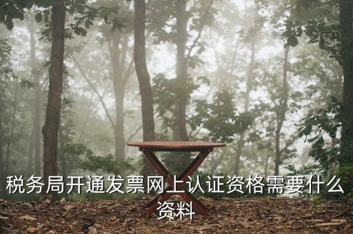 稅務局開通發(fā)票網上認證資格需要什么資料
