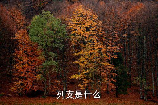 賠付支出能列支什么意思，列支是什么意思