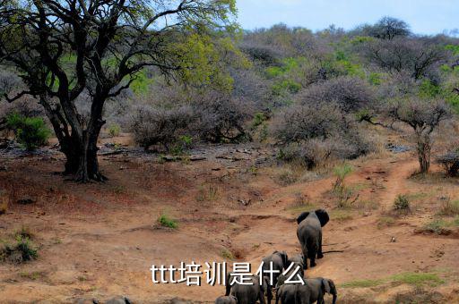 納稅人學(xué)堂培訓(xùn)干什么，去各種培訓(xùn)班做老師有前途么