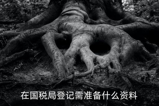 稅務(wù)登記備什么，在國稅局登記需準(zhǔn)備什么資料