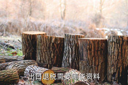 外貿(mào)退稅需要什么資料，出口退稅需要哪些資料
