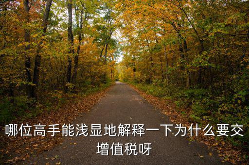 為什么要繳增值稅，為什么要有消費者付增值稅