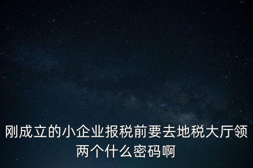 繳稅服務(wù)廳口令輸什么，剛成立的小企業(yè)報(bào)稅前要去地稅大廳領(lǐng)兩個(gè)什么密碼啊