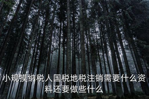 國地稅注銷需要什么，小規(guī)摸納稅人國稅地稅注銷需要什么資料還要做些什么