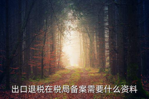 出口退稅備份什么格式，出口退稅單證備案