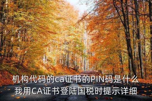 國稅ca證書登錄 密碼是什么，國稅第一次網(wǎng)上申報(bào)的登陸密碼是什么
