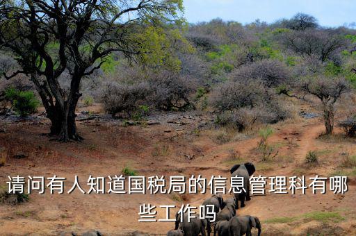 稅務(wù)信息崗位主要負(fù)責(zé)什么，地稅信息中心具體做些什么工作