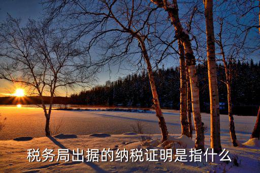 什么是稅收證明，什么是個(gè)人納稅證明