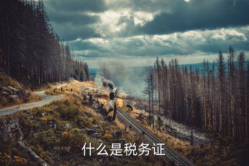 稅務(wù)證件失效 什么意思，什么是稅務(wù)證