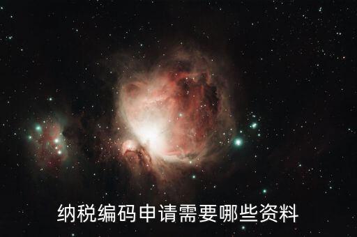 預(yù)約繳稅號需提供什么資料，納稅編碼申請需要哪些資料